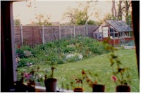 i Dulwhich Road Garden